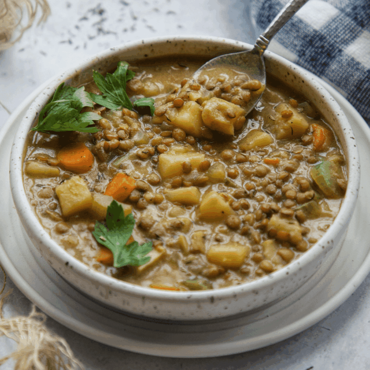 Slow Cooker Yellow Lentil Stew Recipe